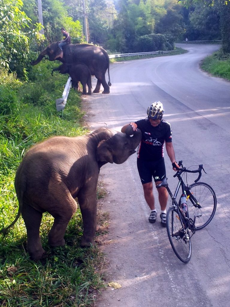Me and the elephants on a typical Thailand ride.